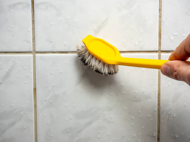 Best Mold Testing and Inspection Services in Cresson, TX