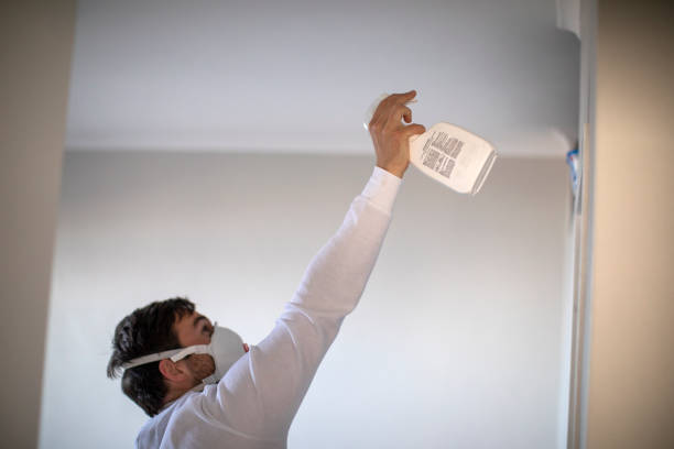 Best Residential Mold Remediation in Cresson, TX