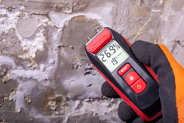 Best Crawl Space Mold Remediation in Cresson, TX