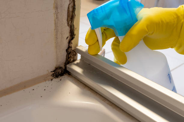 Best Mold Remediation for Specific Building Types in Cresson, TX