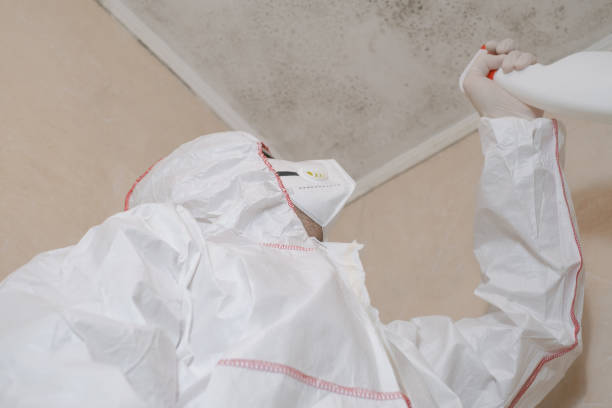 Best Bathroom Mold Remediation in Cresson, TX
