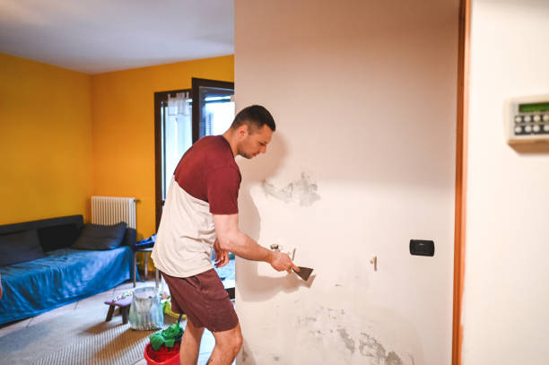 Best DIY Mold Remediation Support Services in Cresson, TX